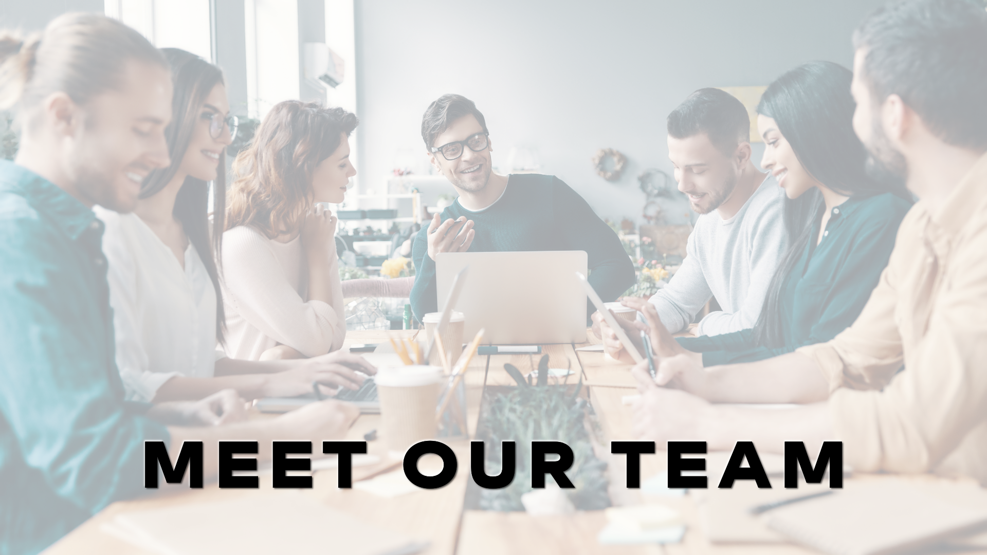 MEET OUR TEAM